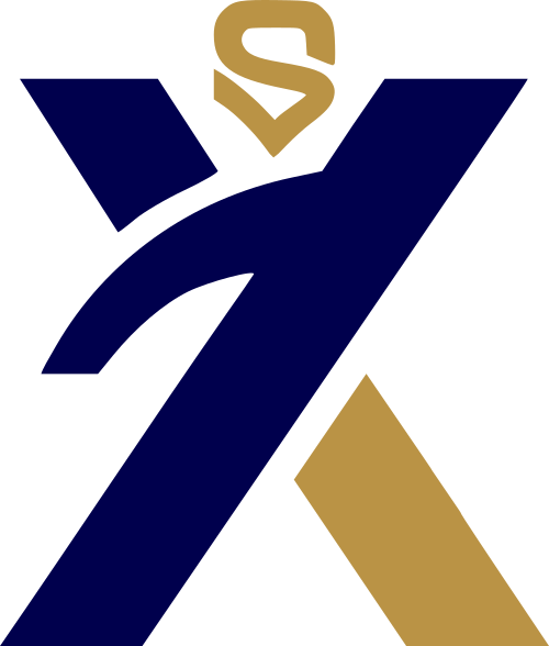 Voxstep logo
